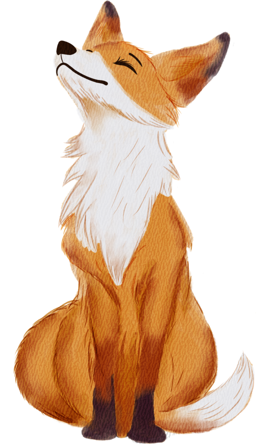 Clever Fox Thanks You